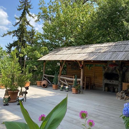 Anano'S Guesthouse Bordžomi Exteriér fotografie