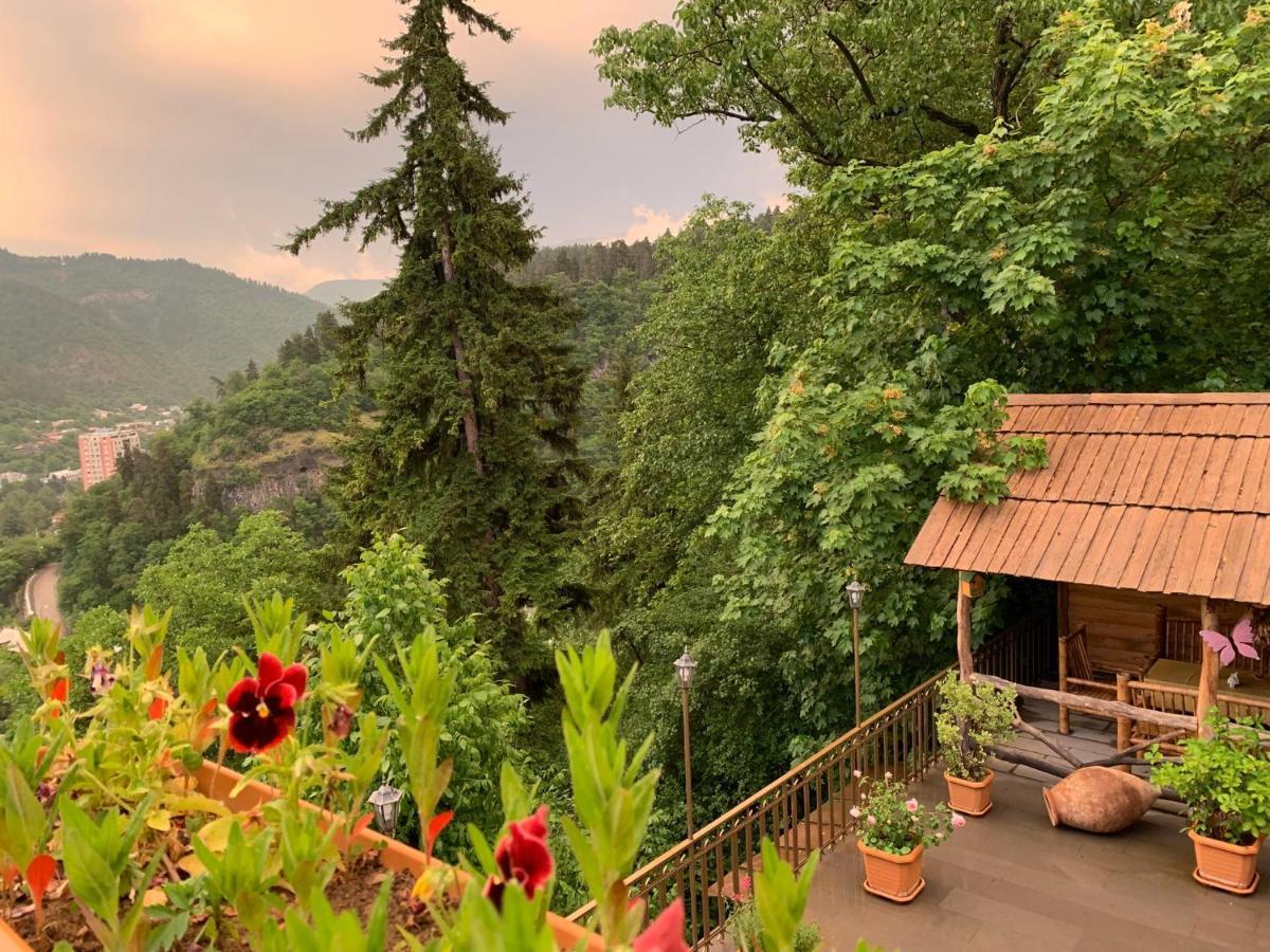 Anano'S Guesthouse Bordžomi Exteriér fotografie