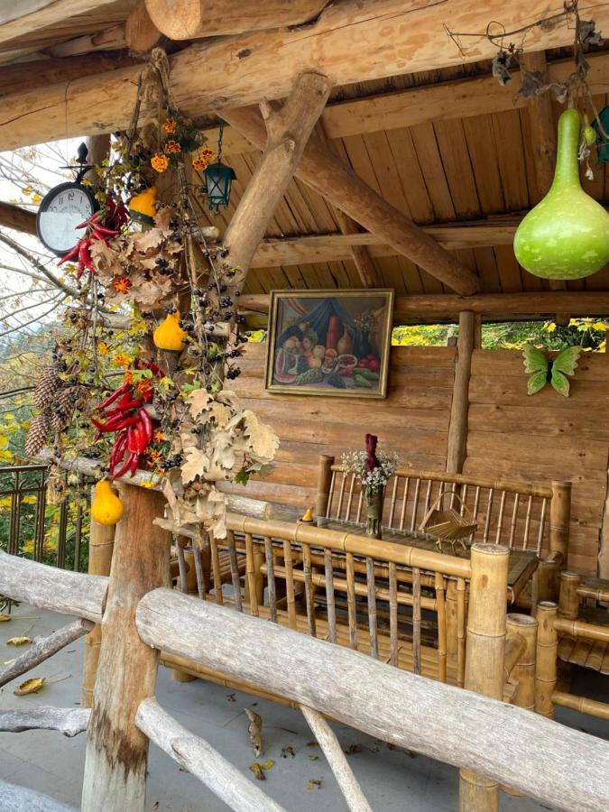 Anano'S Guesthouse Bordžomi Exteriér fotografie